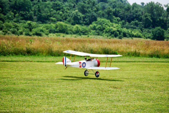 dsc_0246.jpg