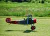 dsc_0517_small.jpg