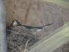 dsc04200_small.jpg