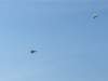 img_1434_small.jpg